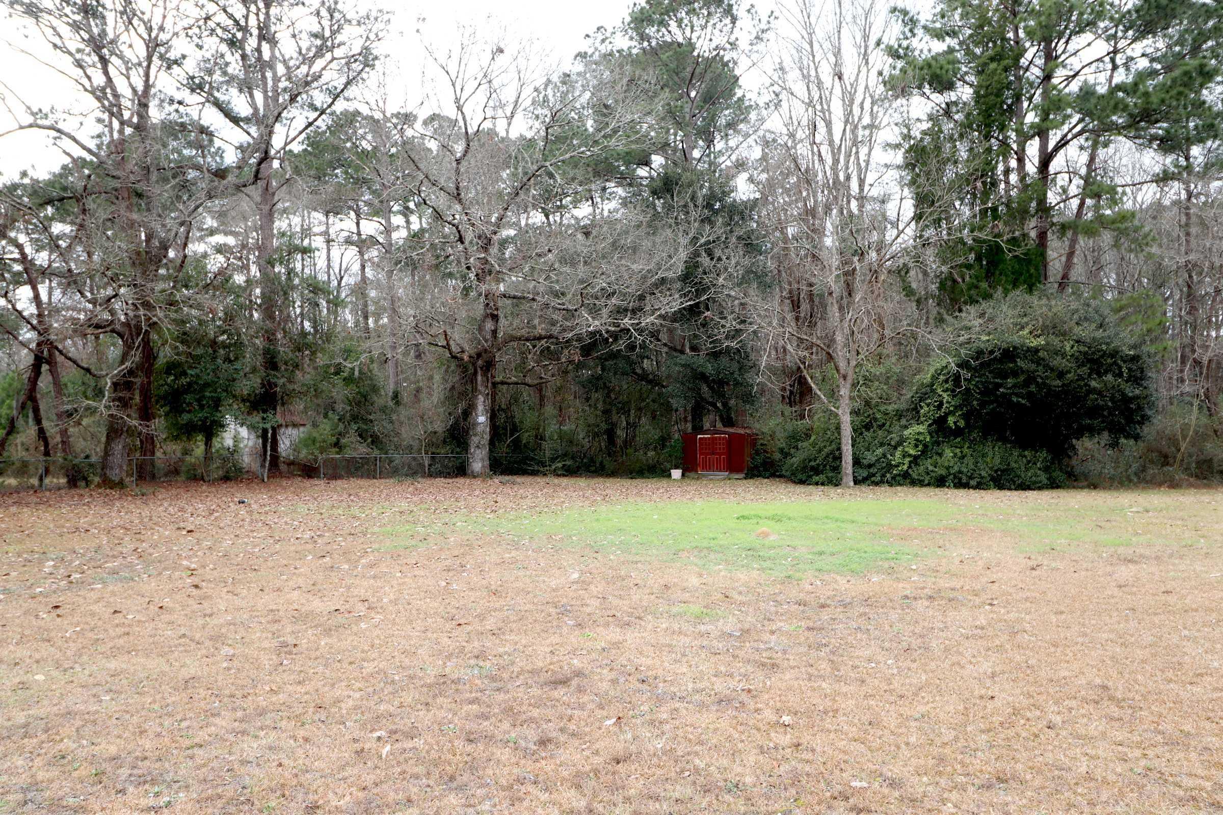1259 Royle Road Ladson, SC 29456 - Photo 11 of 26 IMG_0377