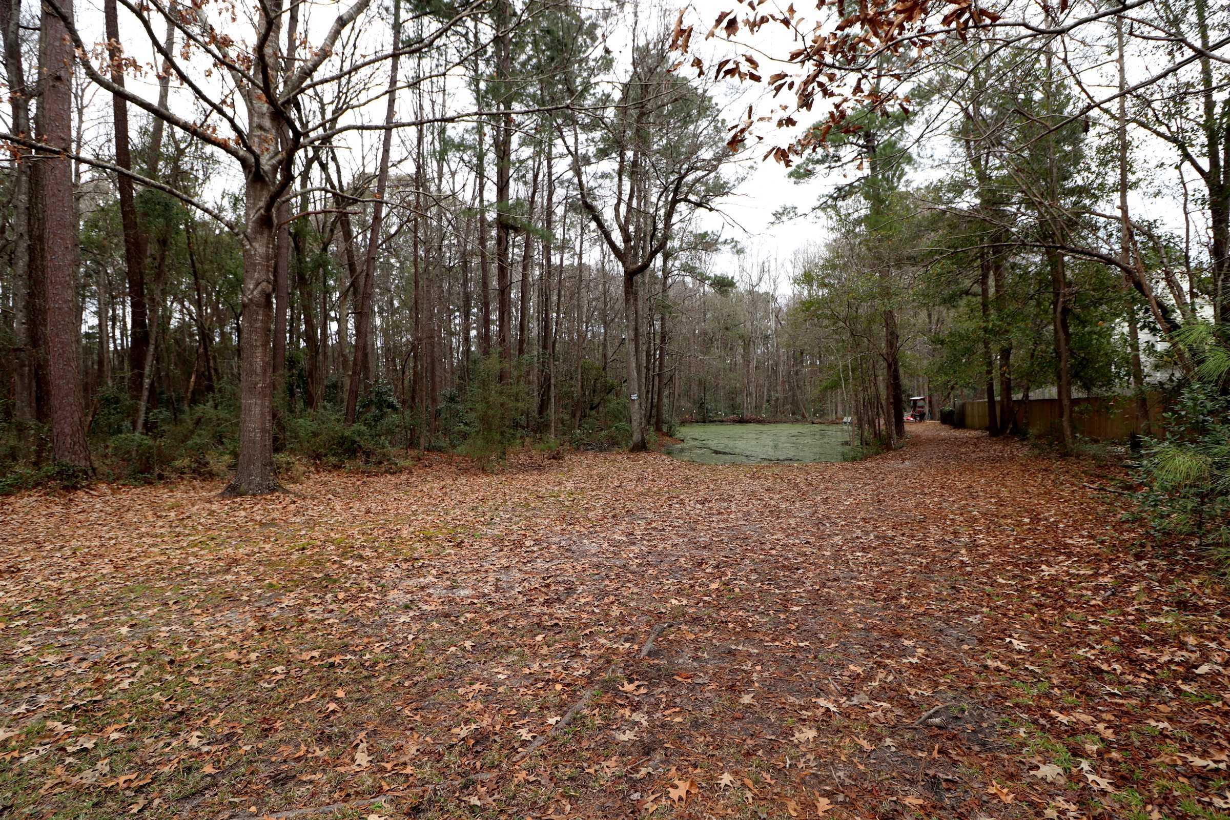 1259 Royle Road Ladson, SC 29456 - Photo 4 of 26 IMG_0372