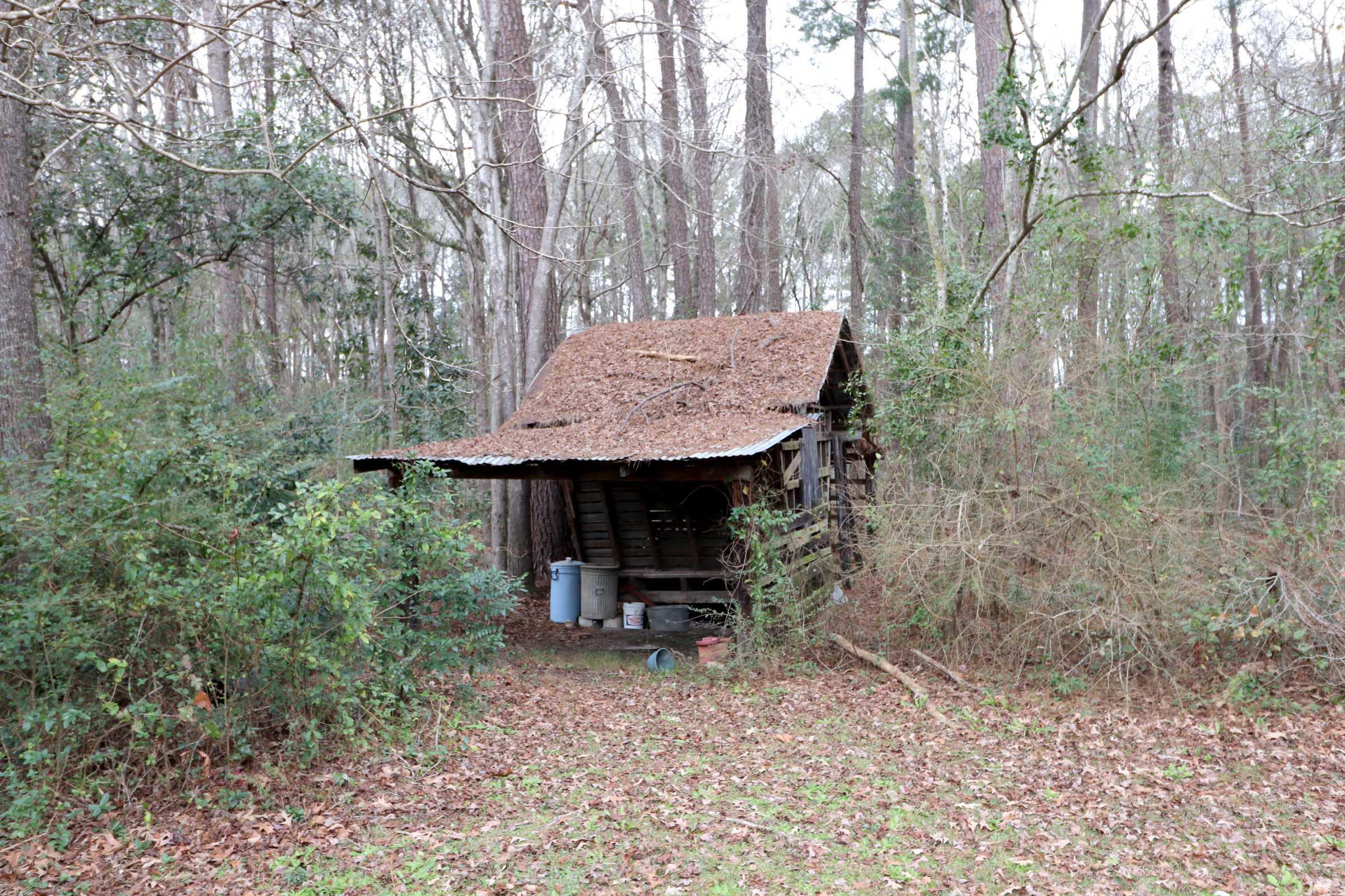 1259 Royle Road Ladson, SC 29456 - Photo 8 of 26 IMG_0374