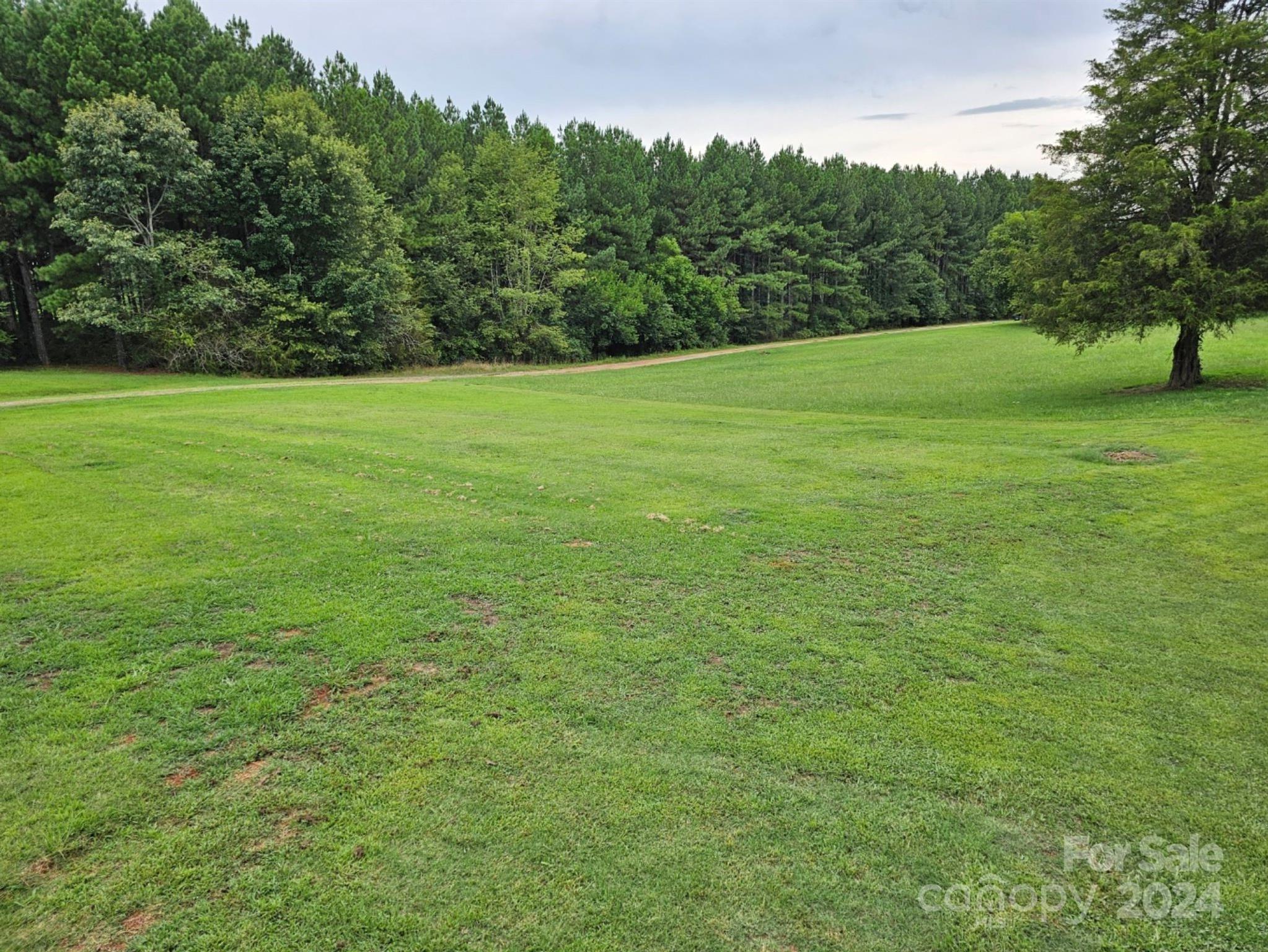 302 Flint Hill Road Cherryville, NC 28021 - Photo 32 of 32 a view of a field with a trees in the background