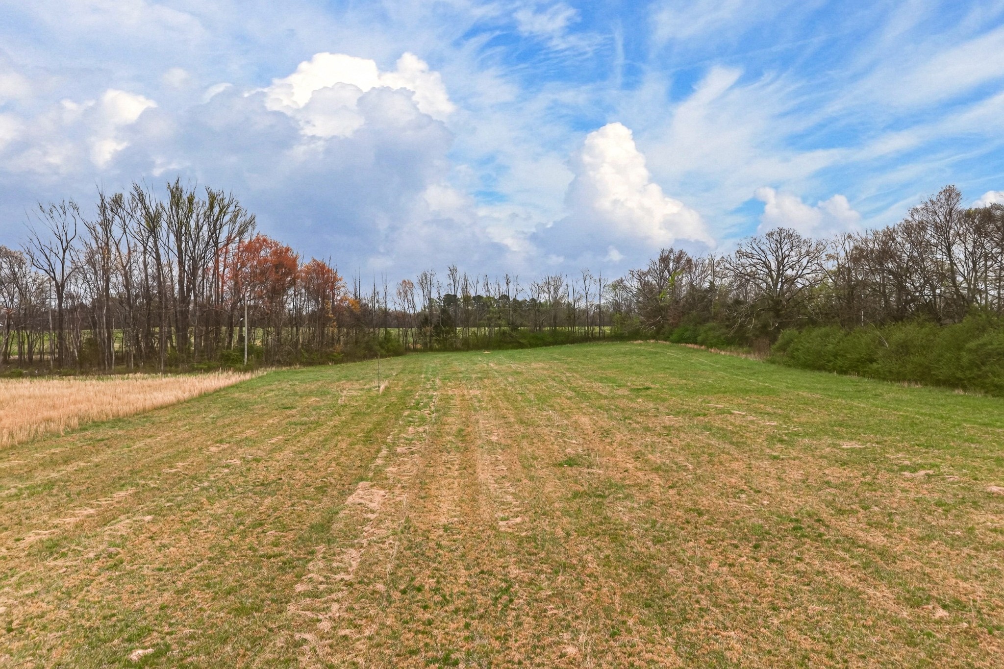 61 Minnie Brown Road Ardmore, TN 38449 - Photo 11 of 31