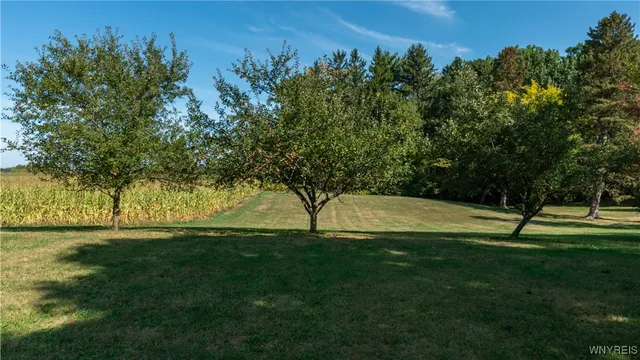 $399,000 | 2084 Richardson Road, Collins, NY 14034