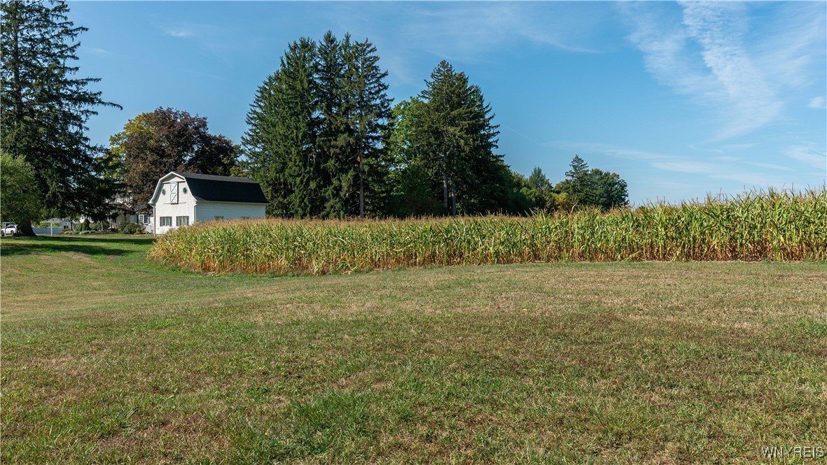 2084 Richardson Road Collins, NY 14034 - Photo 43 of 49