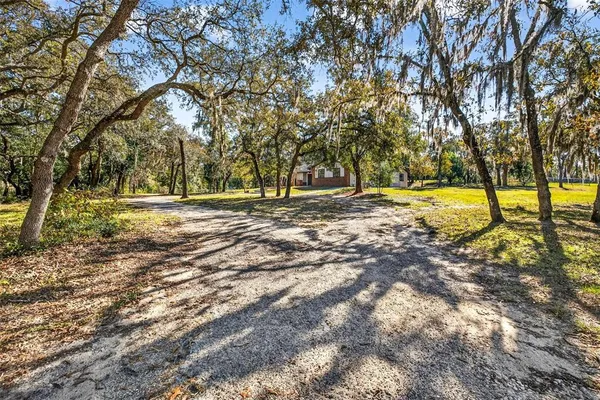a view of a yard with trees in the background