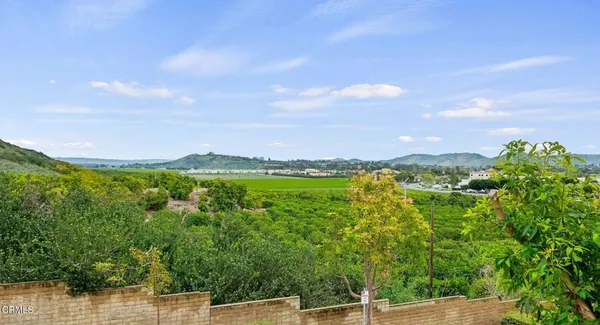 a view of a lake with a city