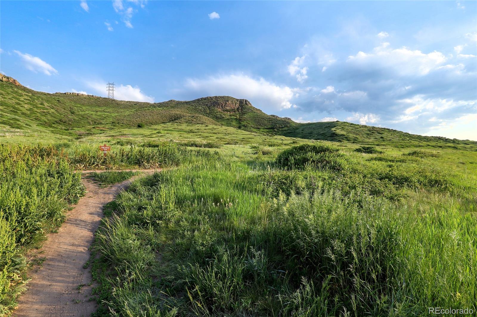 19149 West 53rd Loop Golden, CO 80403 - Photo 5 of 29