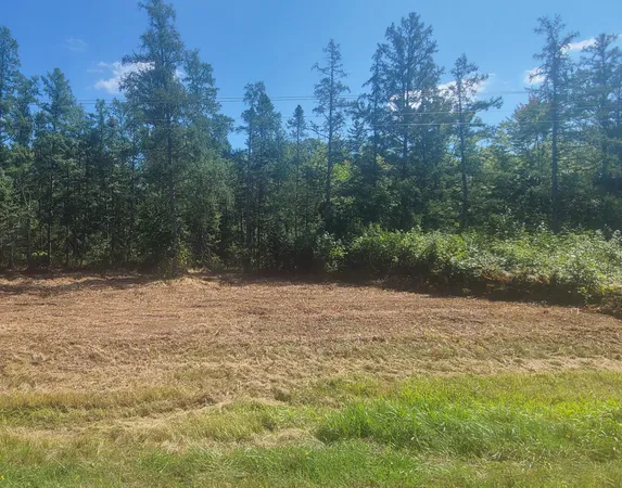 $15,000 | 77 Minong Wi 54859, Trego, WI 54888