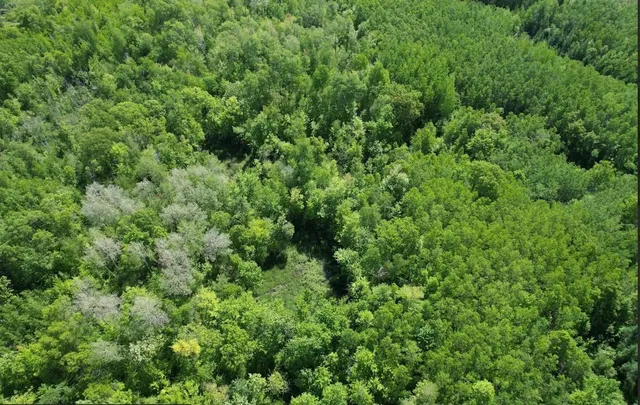 $22,900 | 77 Minong Wi 54859, Trego, WI 54888