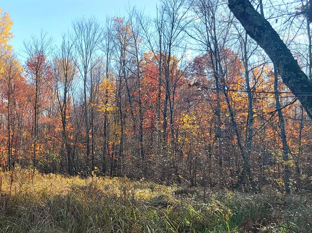 $22,900 | 77 Minong Wi 54859, Trego, WI 54888