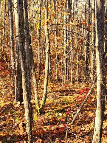 $22,900 | 77 Minong Wi 54859, Trego, WI 54888