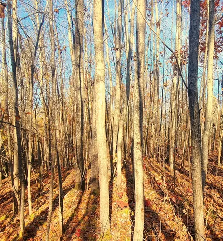 $22,900 | 77 Minong Wi 54859, Trego, WI 54888