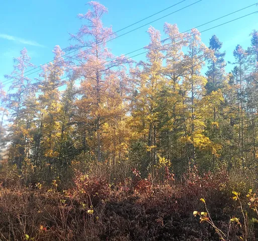 $22,900 | 77 Minong Wi 54859, Trego, WI 54888