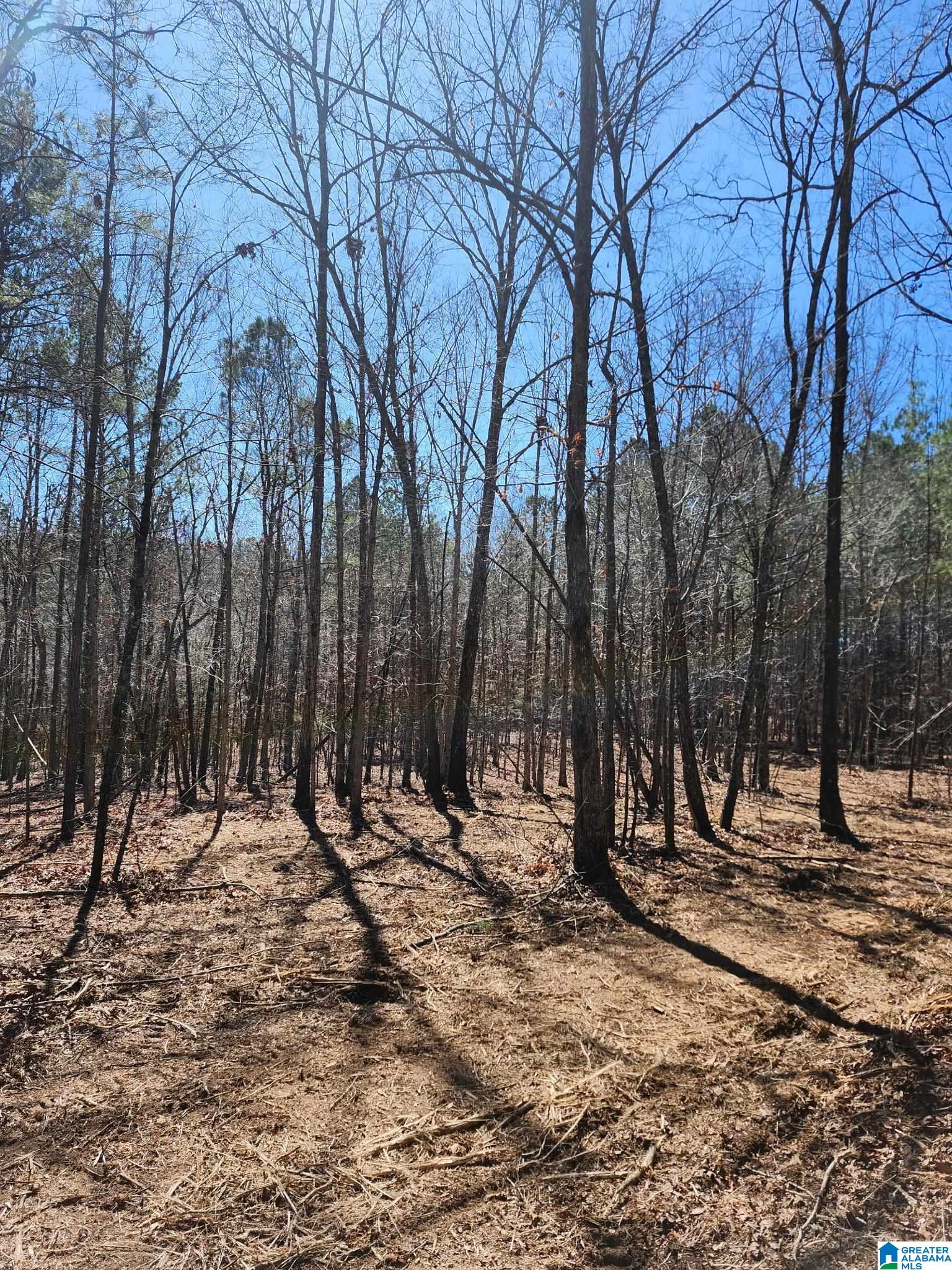 0 Francis Mill Road Ohatchee, AL 36271 - Photo 27 of 31 Gallery Image 27