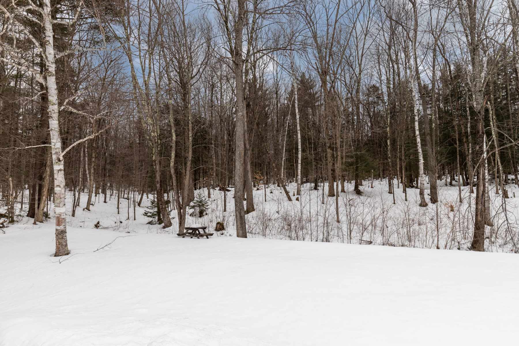 1364 Stebbins Road Cambridge, VT 05464 - Photo 37 of 38 Gallery Image 37