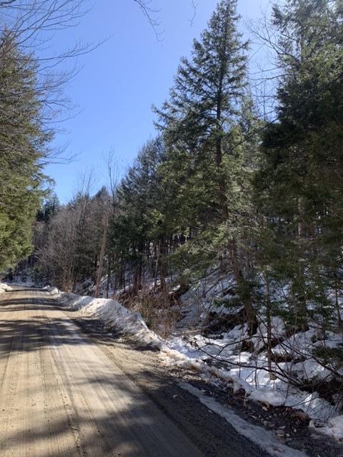 Tbd Intervale Road Temple, ME 04984 - Photo 16 of 16 53249FE4-A755-4E8A-B849-147871E782B3
