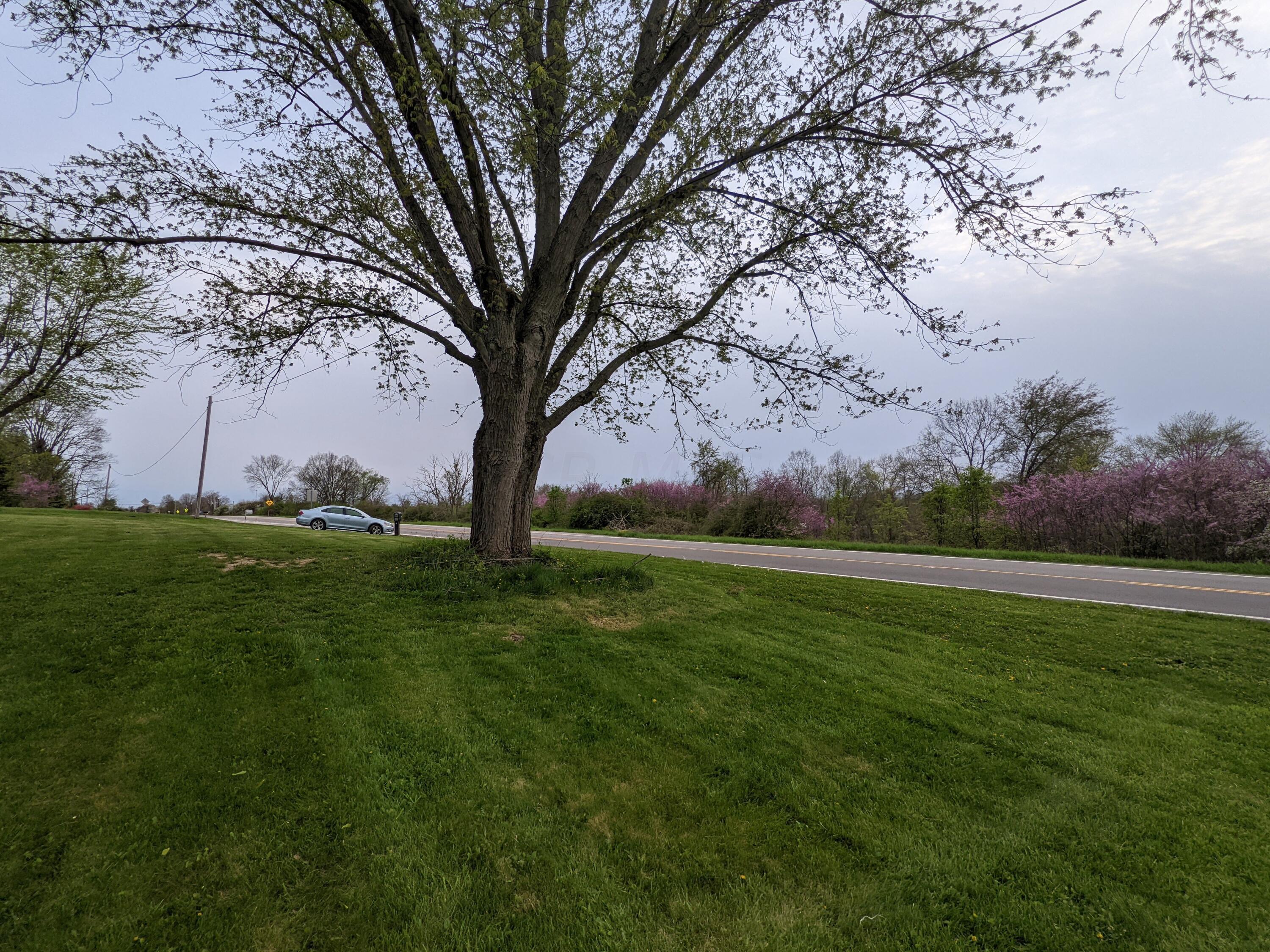 7445 Riverside Drive Powell, OH 43065 - Photo 12 of 21 PXL_20220428_235636077