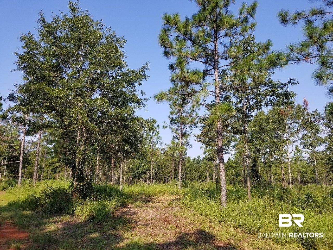 0 Jerkins Loop Atmore, AL 36502 - Photo 1 of 50