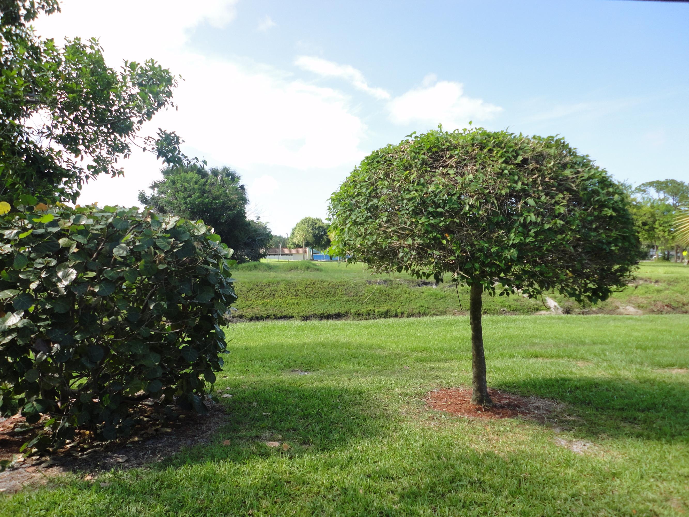1349 Northwest 7th Street Boca Raton, FL 33486 - Photo 31 of 37 Private Back Yard/No Neighbors