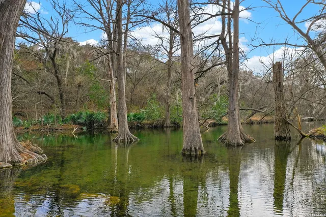 a backyard of a house with lots of green space and lake view