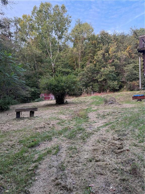 265 Jack Road Vandergrift, PA 15690 - Photo 44 of 44 View of the side yard