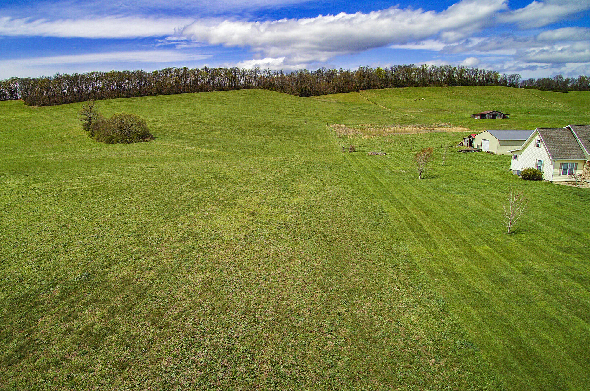 Pond Creek Road Philadelphia, TN 37846 - Photo 1 of 3 E0B7186F-FA19-443C-A2C2-CBA734983D13