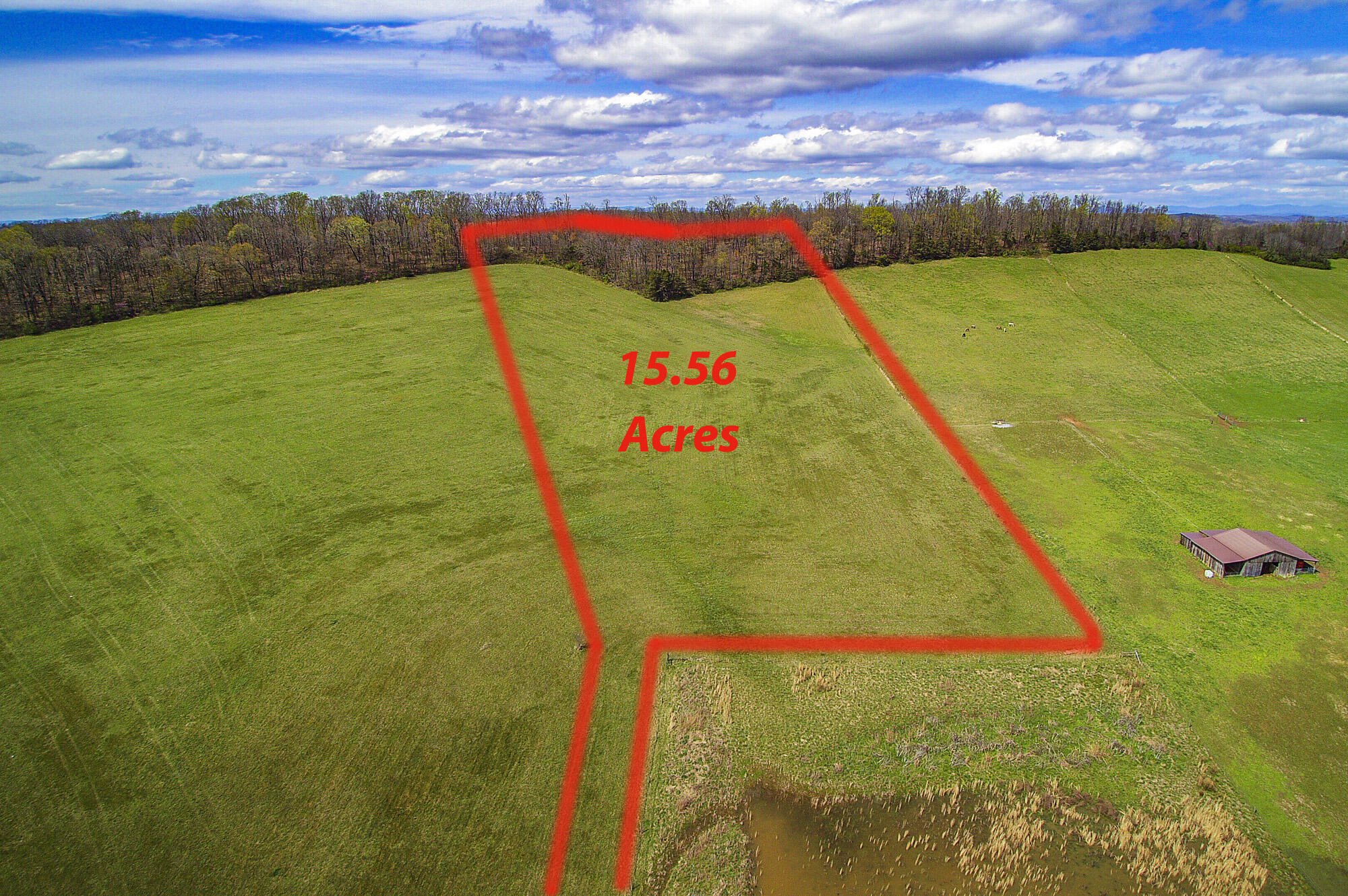 Pond Creek Road Philadelphia, TN 37846 - Photo 2 of 3 4A58E9FF-3CC7-4958-ABE0-79208B6723C6