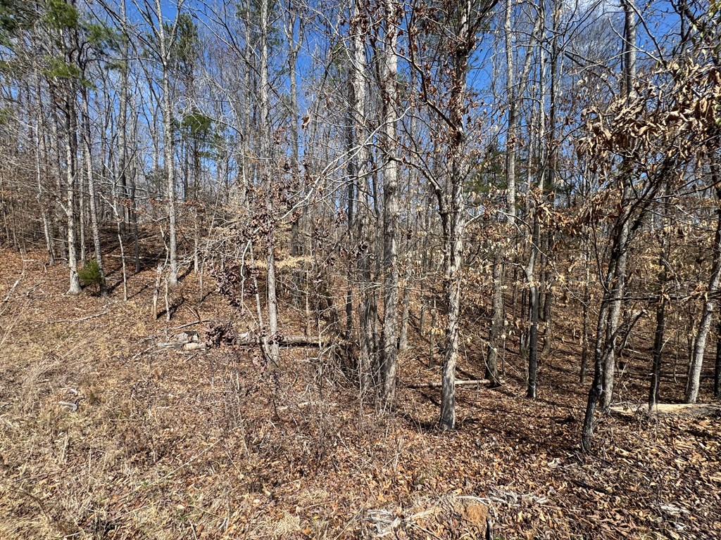 22 Stone Gate Farm Road Donalds, SC 29638 - Photo 12 of 26