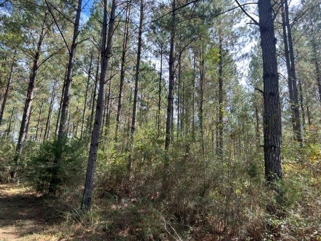 29277 Holmes Langford Road Opp, AL 36467 - Photo 3 of 41 Gallery Image 3