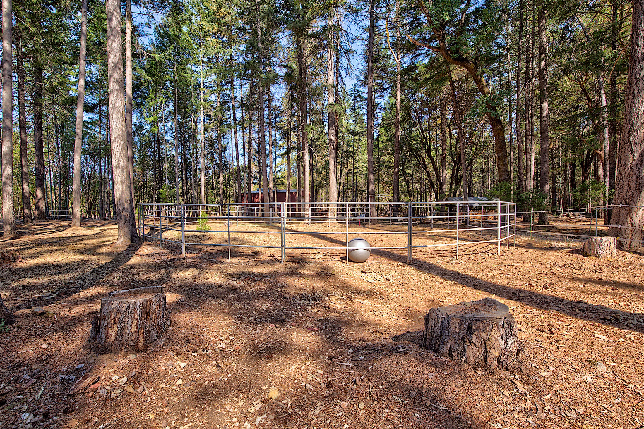 150 Combs Drive Merlin, OR 97532 - Photo 32 of 58 125A9543_4_5_6_7