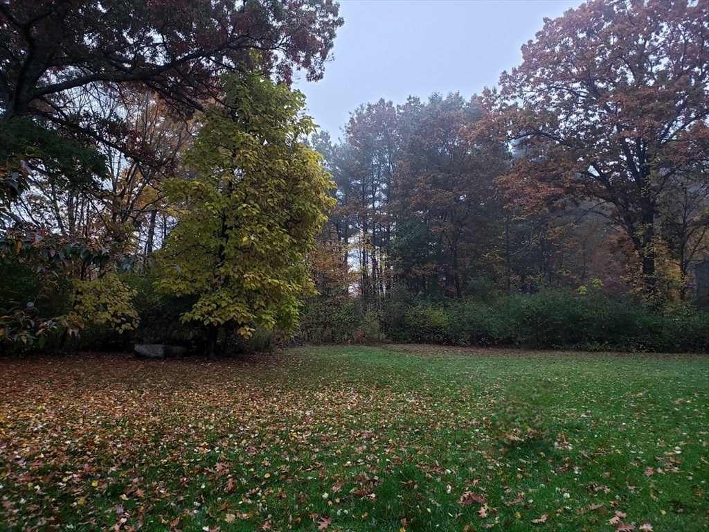 376 Treble Cove Road Billerica, MA 01862 - Photo 41 of 41