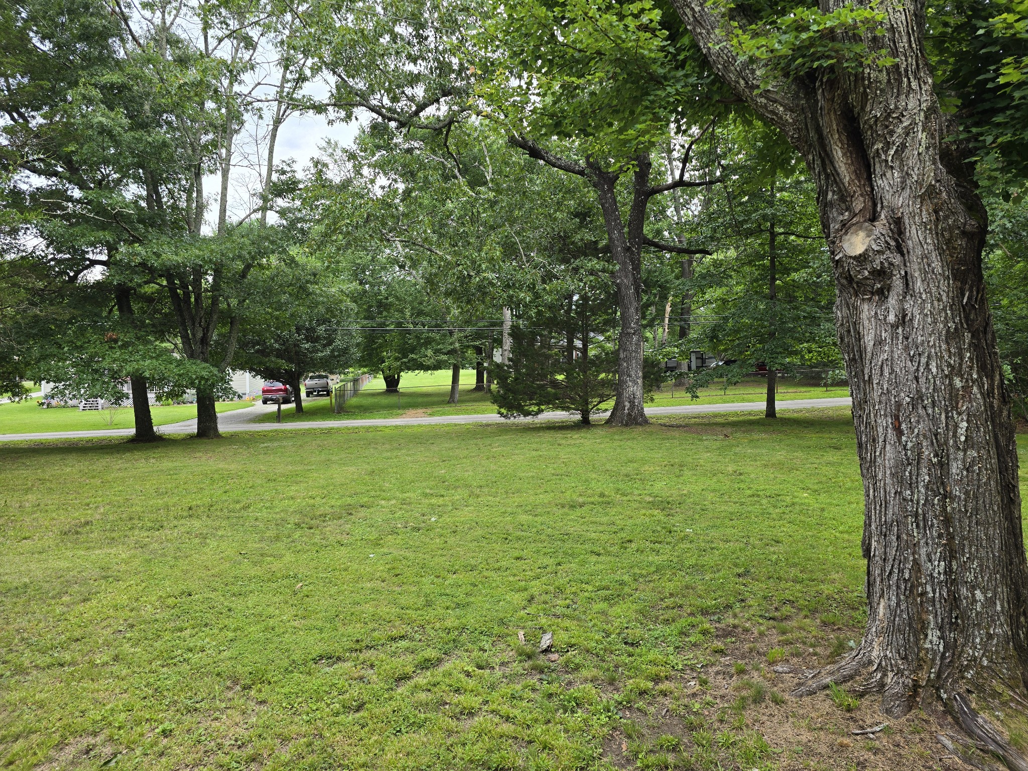 176 Parks Road Monteagle, TN 37356 - Photo 5 of 30 Gallery Image 5