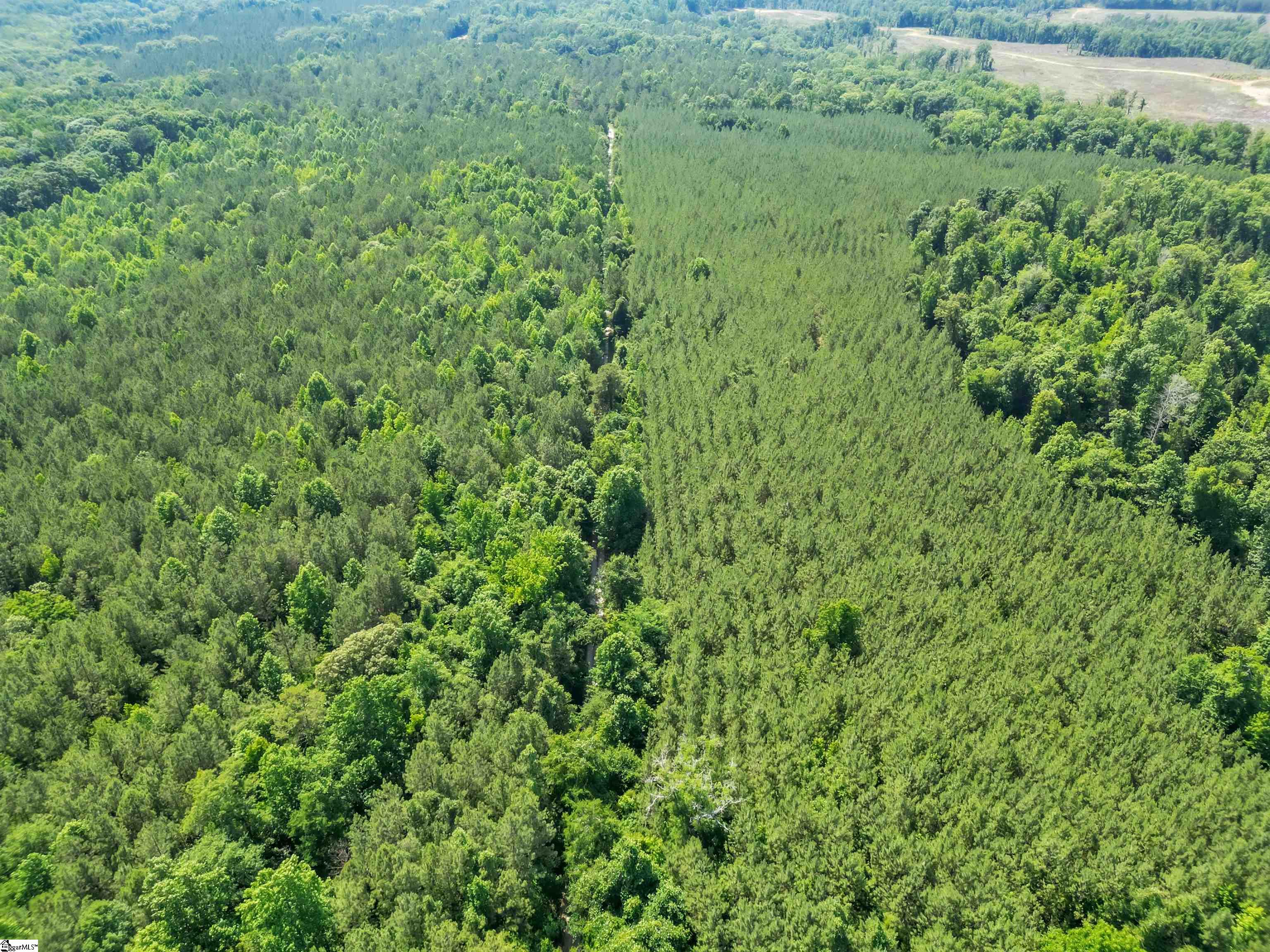 0 Simpson Mill Road Laurens, SC 29360 - Photo 7 of 20