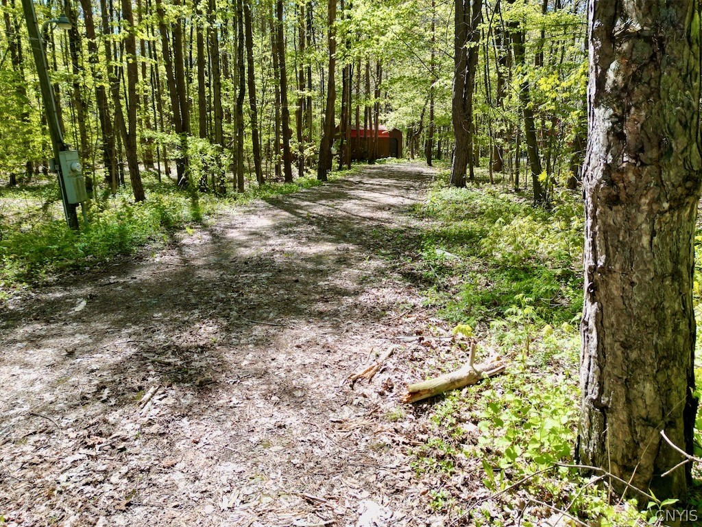 657 County Rte 48 Altmar, NY 13302 - Photo 3 of 47