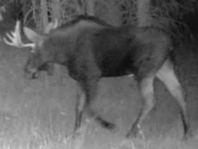 4110 Cemetery Road Springdale, WA 99173 - Photo 21 of 42