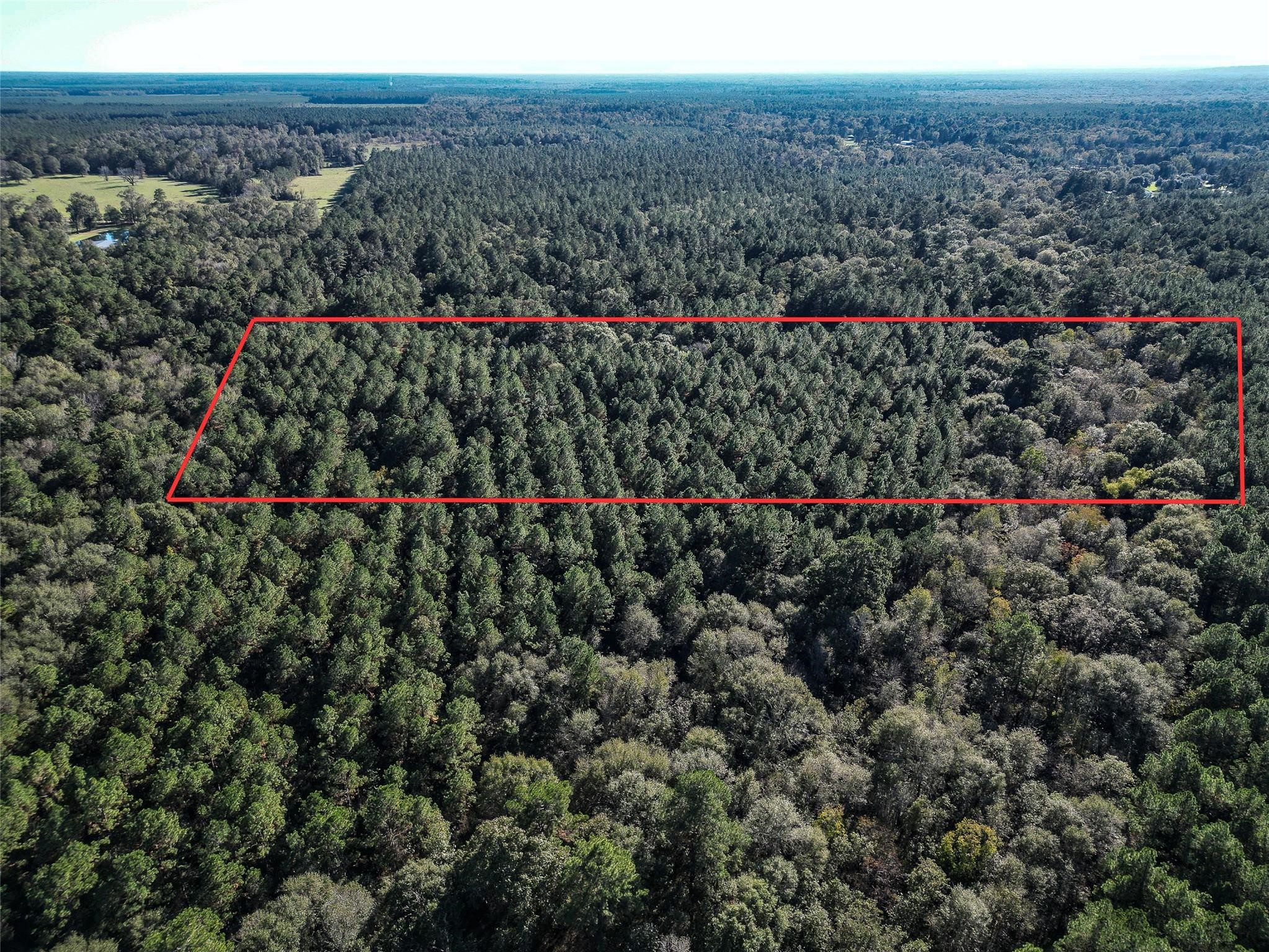 0 County Road 2125 Cleveland, TX 77327 - Photo 5 of 15