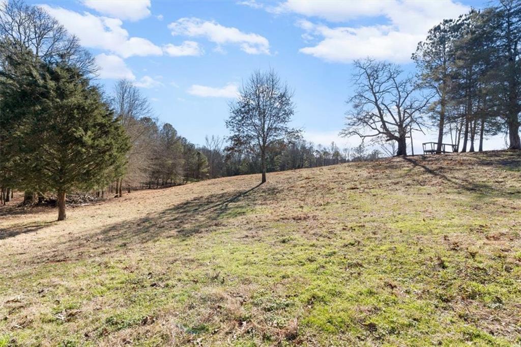80 Hand Road Bowdon, GA 30108 - Photo 50 of 83