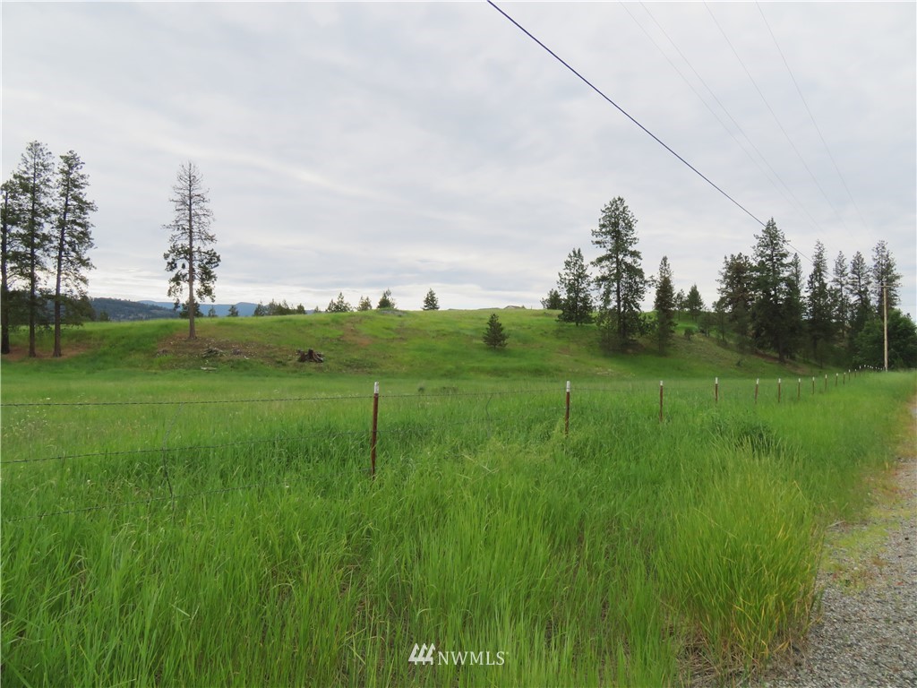 314 West Curlew Lake Road Republic, WA 99166 - Photo 17 of 18