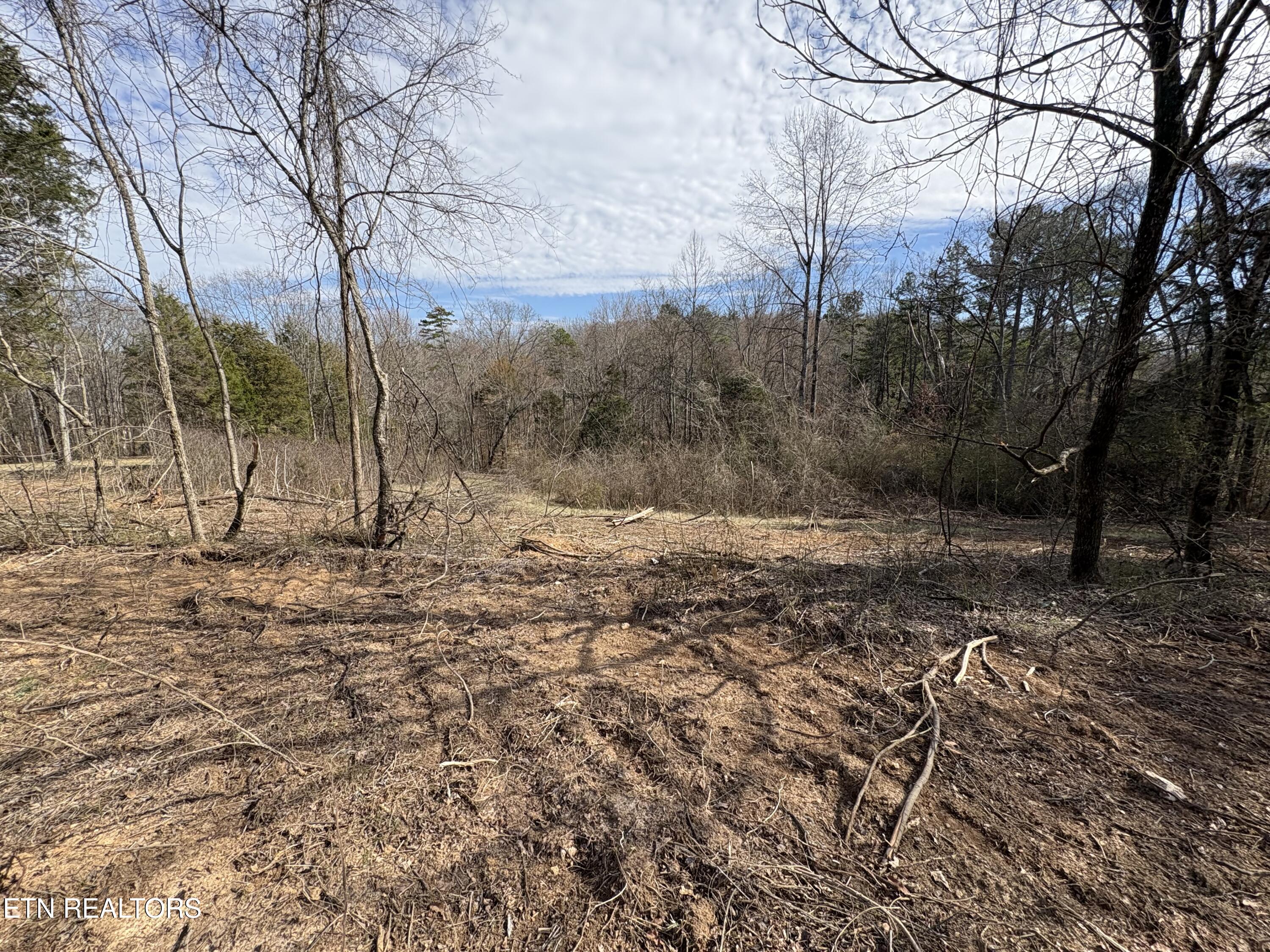 150 Copenhaver Road Lenoir City, TN 37771 - Photo 5 of 6 IMG_3326