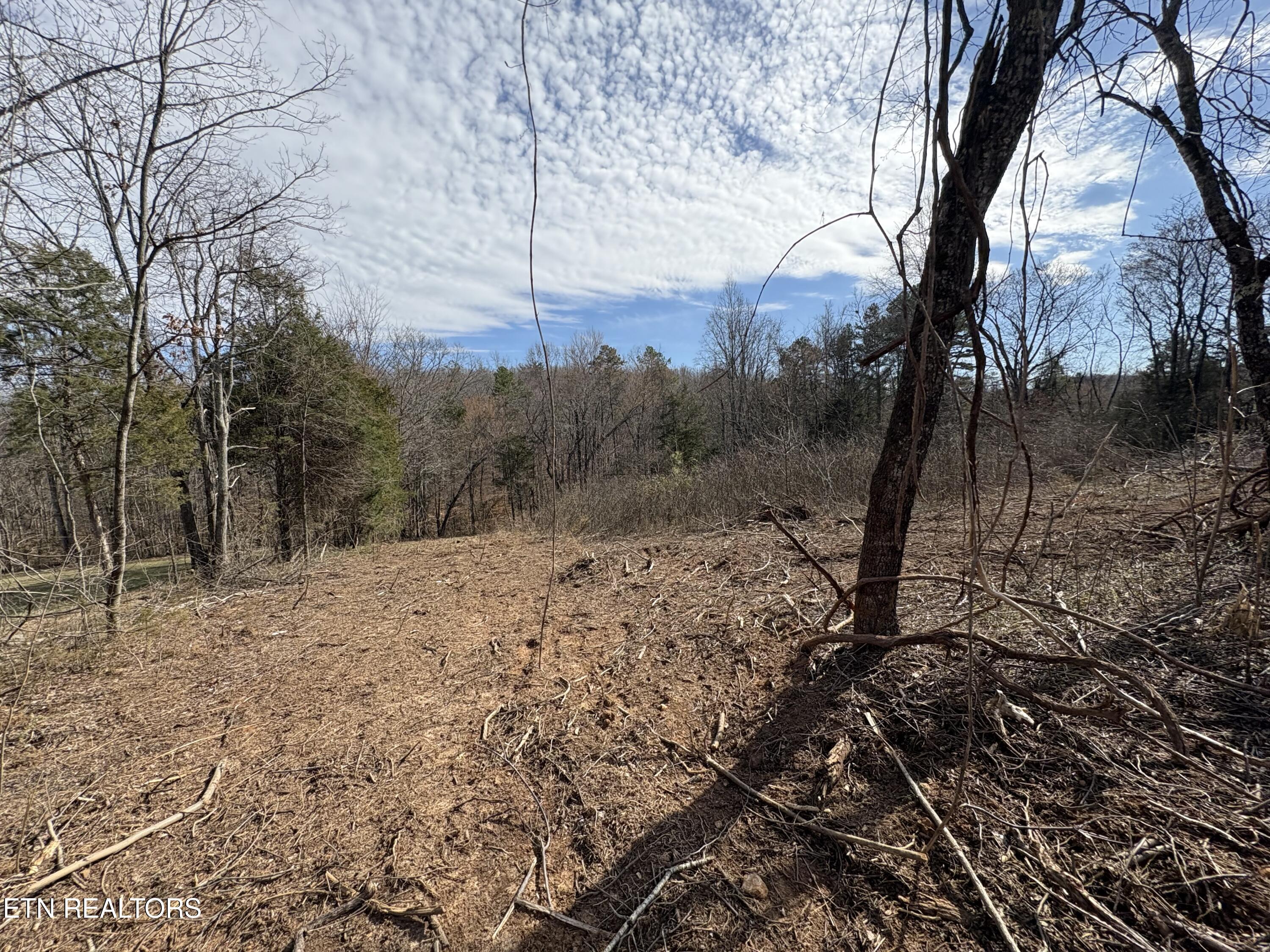 150 Copenhaver Road Lenoir City, TN 37771 - Photo 6 of 6 IMG_3325