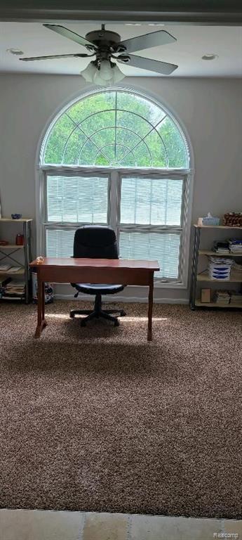 711 North Hughes Road Howell, MI 48843 - Photo 27 of 32