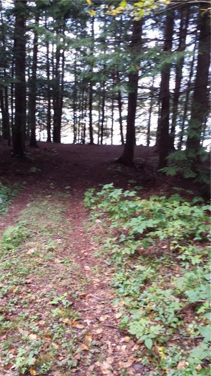 785 River Road Dresden, ME 04342 - Photo 1 of 12 Camp road leading to the Kennebec...