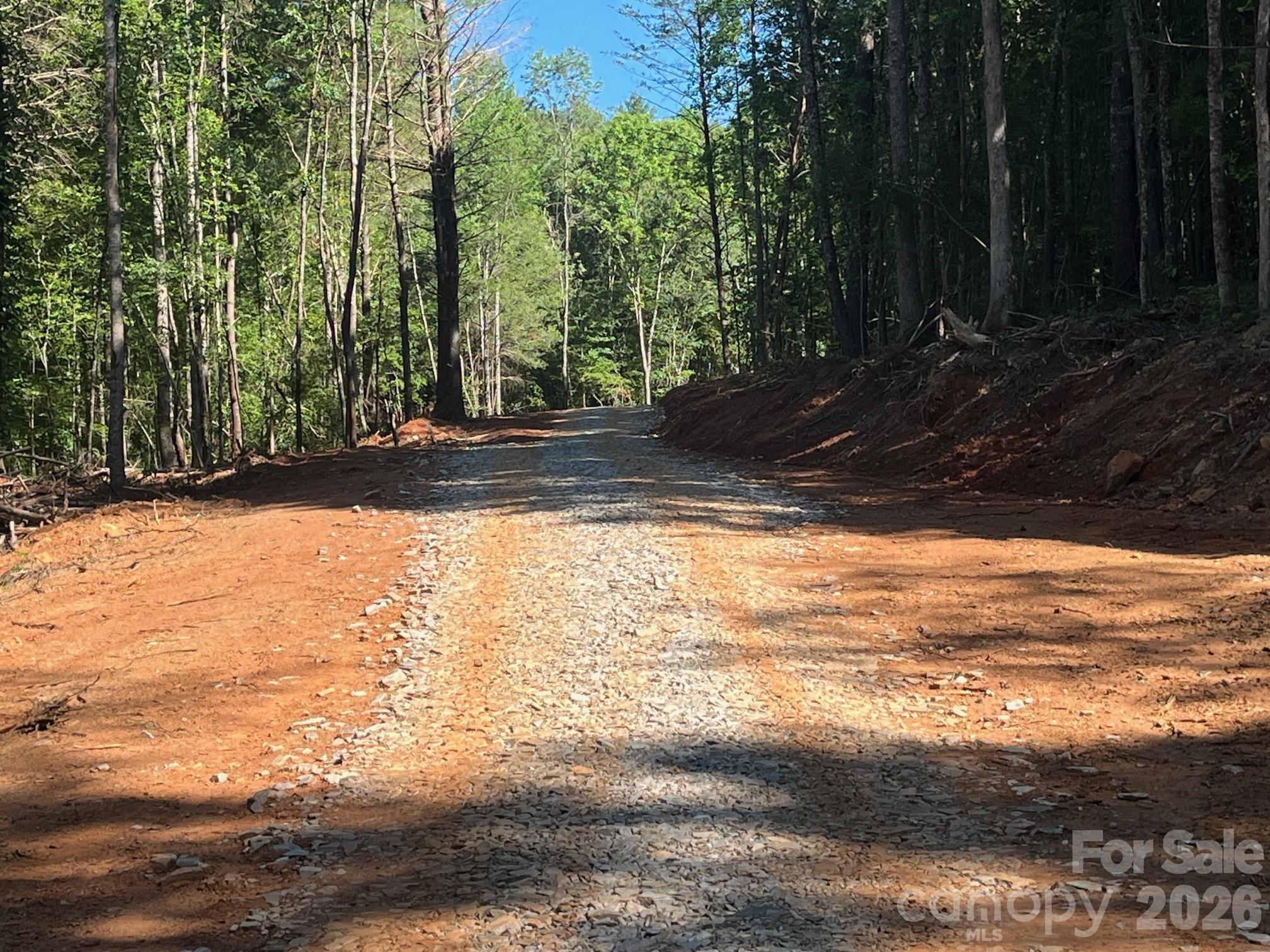 Tbd Vein Mountain Road, Unit 20 Nebo, NC 28761 - Photo 4 of 17
