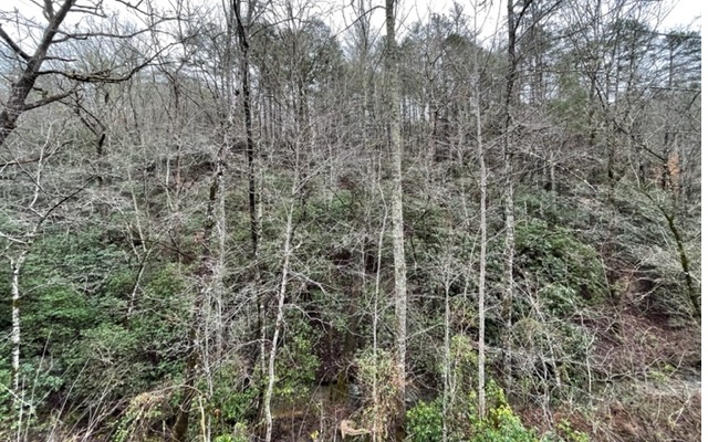 Additional View