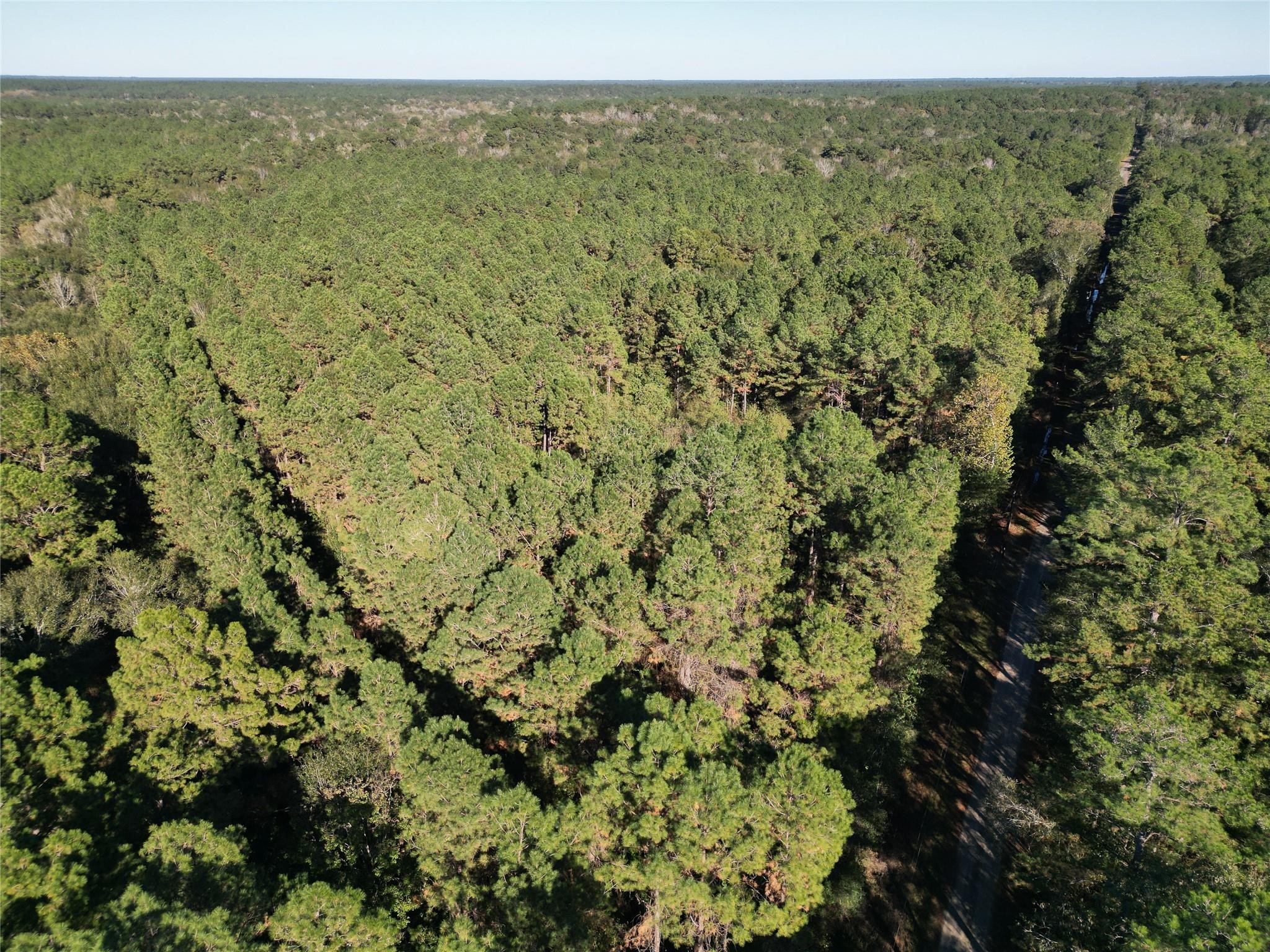 0 County Road 2125 Cleveland, TX 77327 - Photo 7 of 15