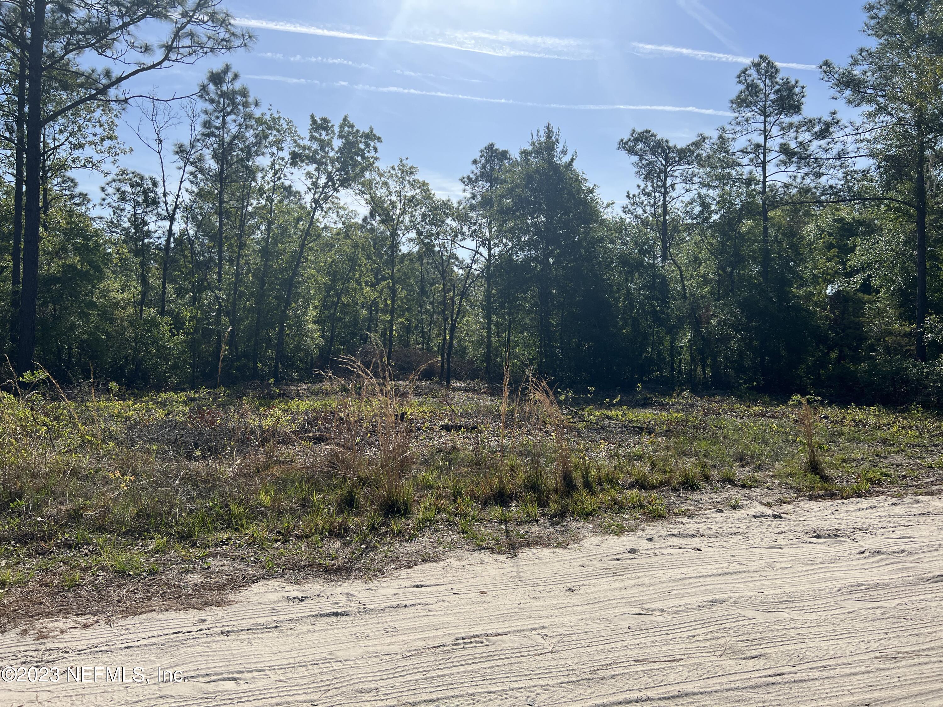 0 Spring Lake Village Road Keystone Heights, FL 32656 - Photo 9 of 13 IMG-9100
