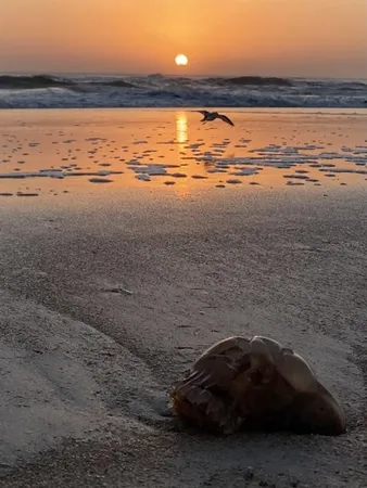 $319,000 | 3000 Ocean Shore Boulevard, Unit 150, Ormond Beach, FL 32176