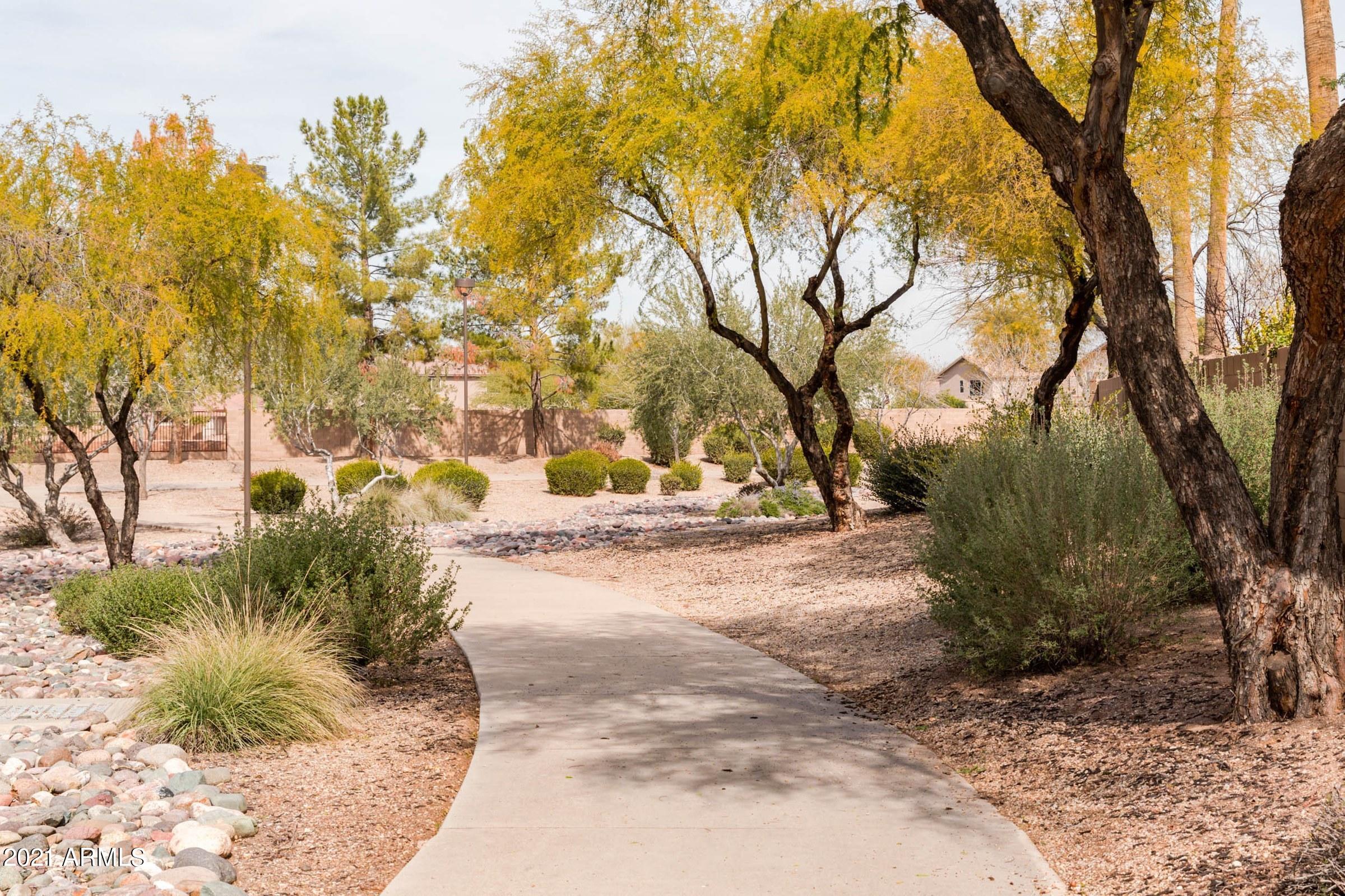 1791 East Del Rio Street Gilbert, AZ 85295 - Photo 28 of 28 a view of road with trees