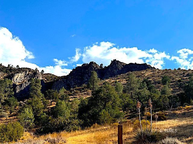 Tice Rd Lake Mountain Mesa, CA 93240 - Photo 7 of 18