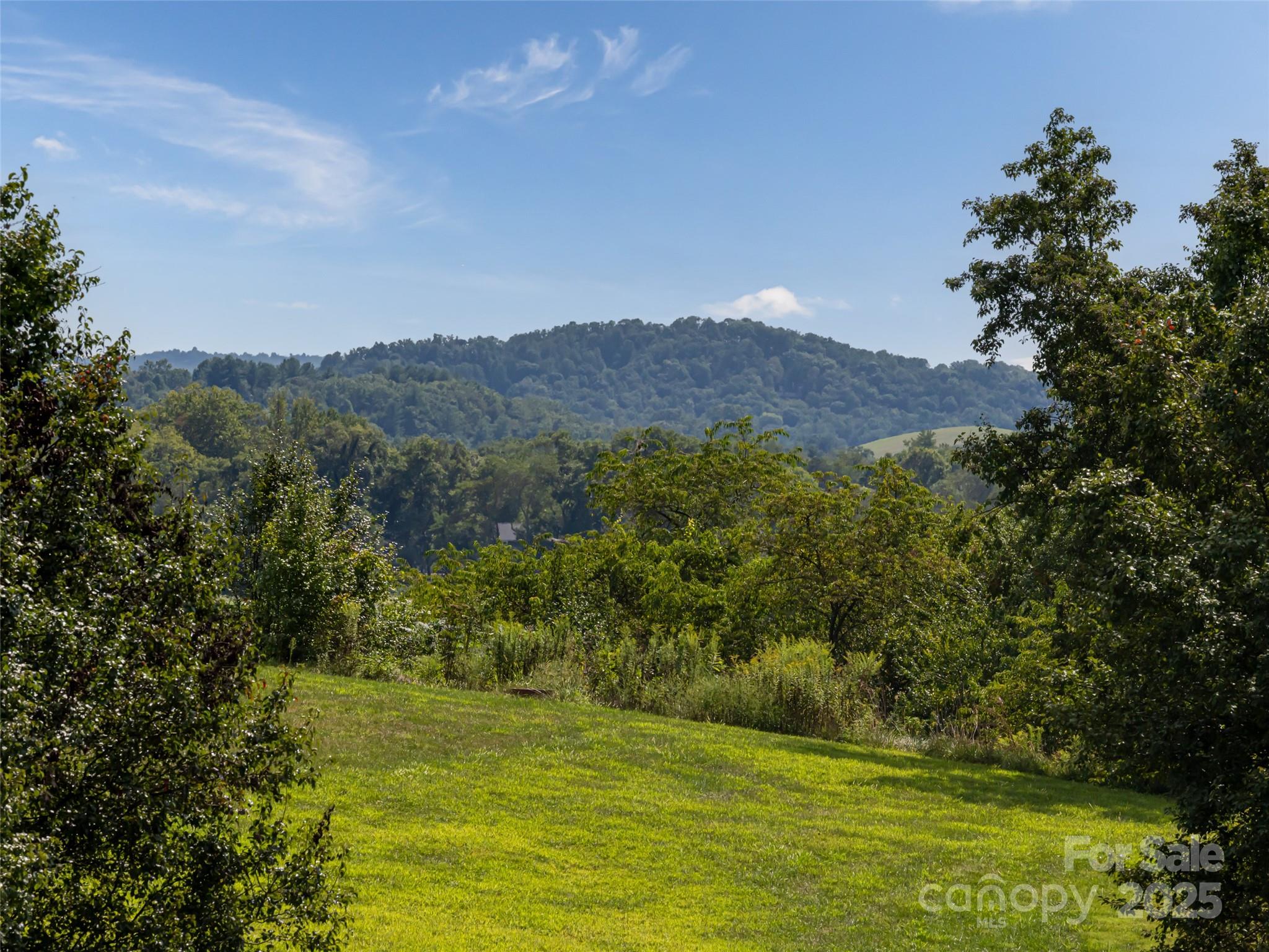 109 Double Knob Road, Unit 66 Mills River, NC 28759 - Photo 6 of 10 a view of a grassy area with an trees