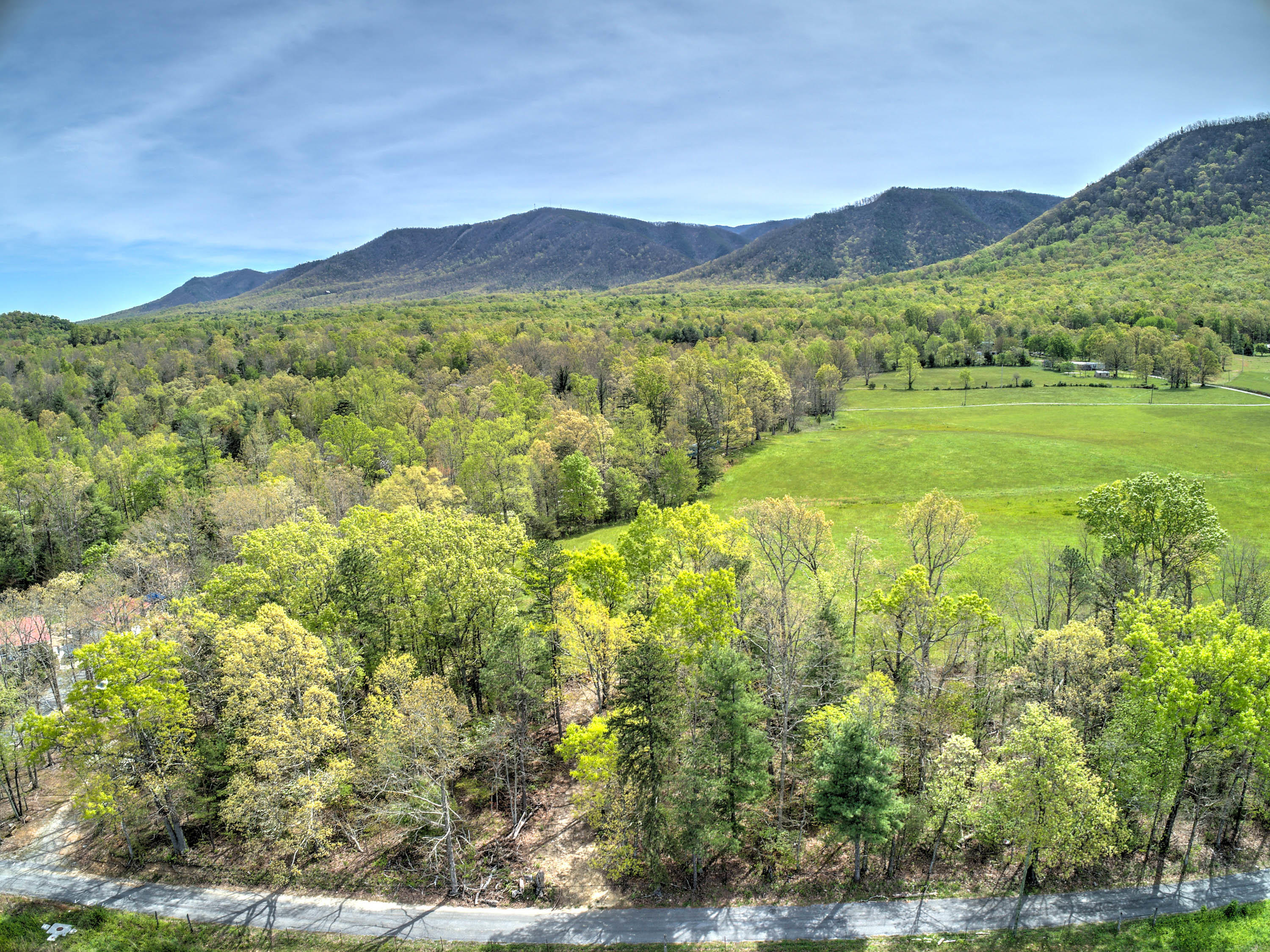 7 Colyer Road Greeneville, TN 37743 - Photo 11 of 29 Colyer Rd-11